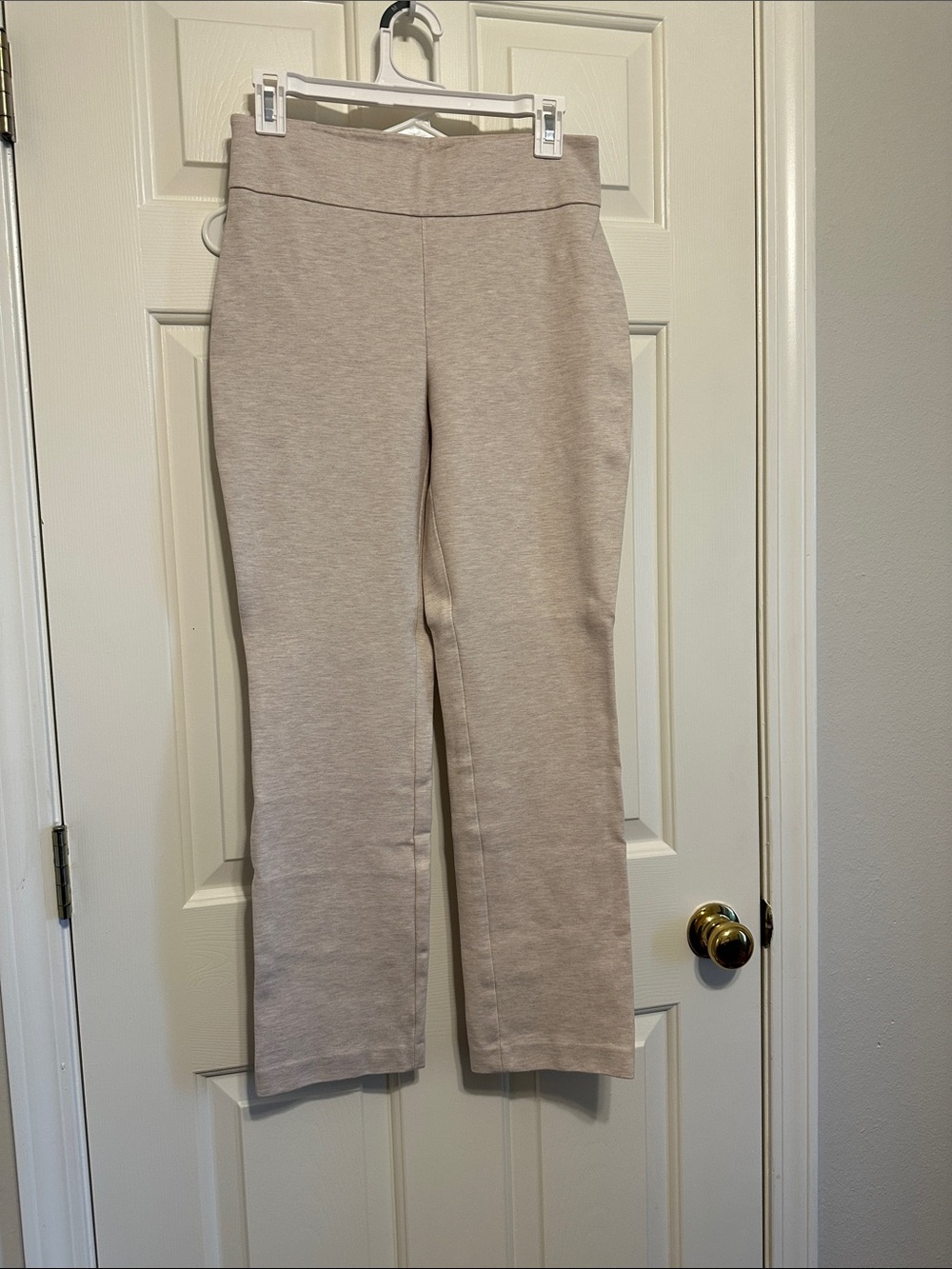 Express Women's Straight Leg Pull-On Pants — Light Taupe